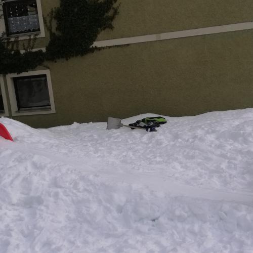 Schnee Scooter2